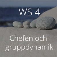 WS4