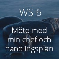 WS6