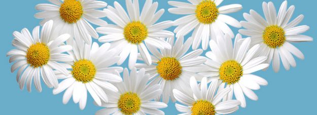 Kontura International | Tack